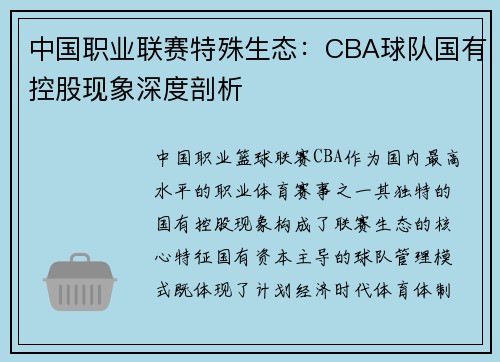 中国职业联赛特殊生态：CBA球队国有控股现象深度剖析